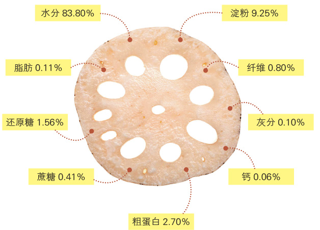 独爱莲藕,出淤泥而不染